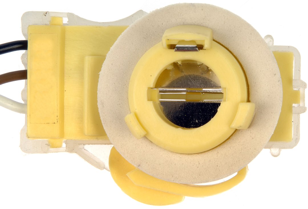 Dorman (OE Solutions) 85832 Angled Double-Contact Indicator Socket - image 1