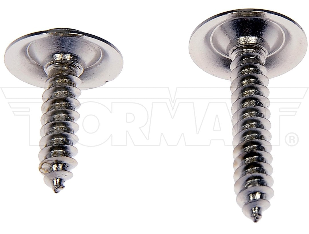 Dorman OE Solutions 961-022d Assorted Steel Trim Screws - image 3