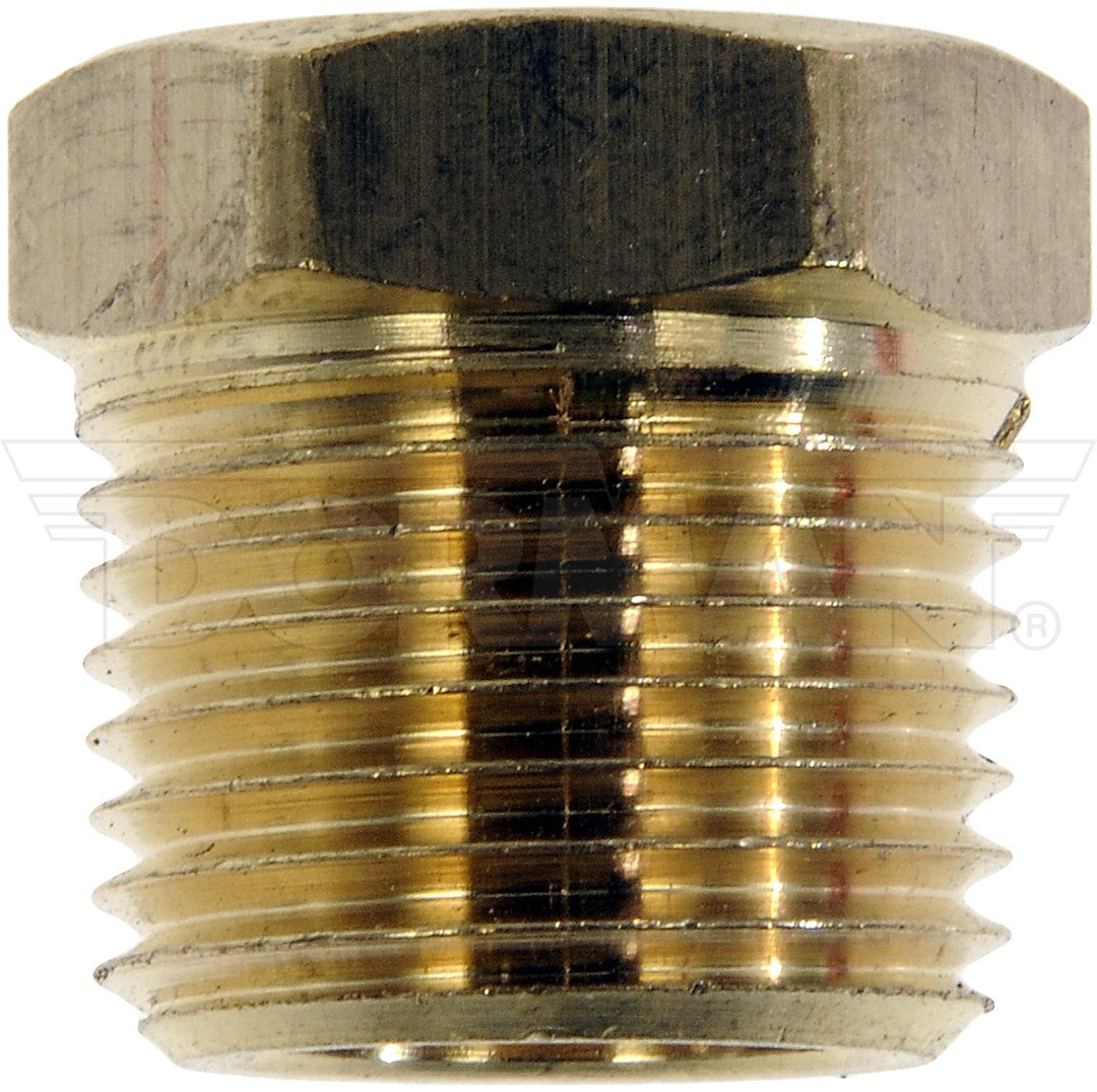Dorman (OE Solutions) 785-440d Gold Brass Quarter-Inch Tube Nut - image 2