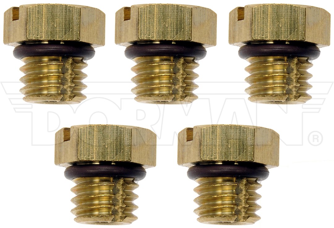 Dorman (OE Solutions) 904112HP Brass Fuel Filter Bleeding Screw Set - image 2