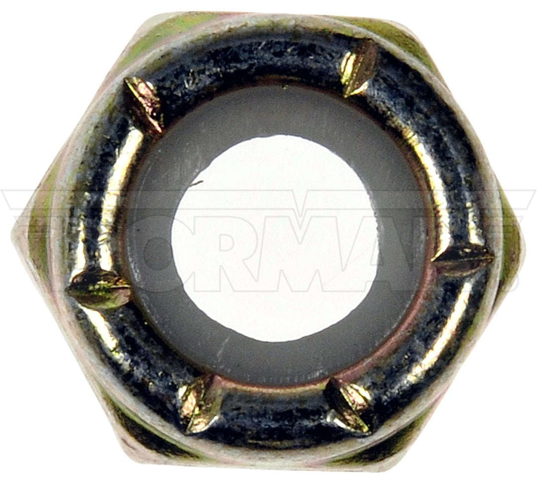 Dorman (OE Solutions) 784-756d 5/16-Inch Nylon Locking Nut Trio - image 2