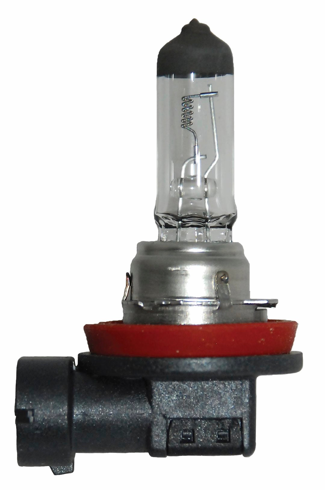 Hella H11 24V Halogen Bulb for Headlights