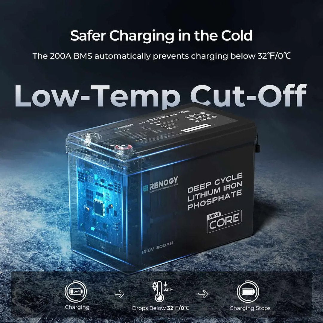 Renogy Rbt12300lfp-M-G1-Us Battery - image 2