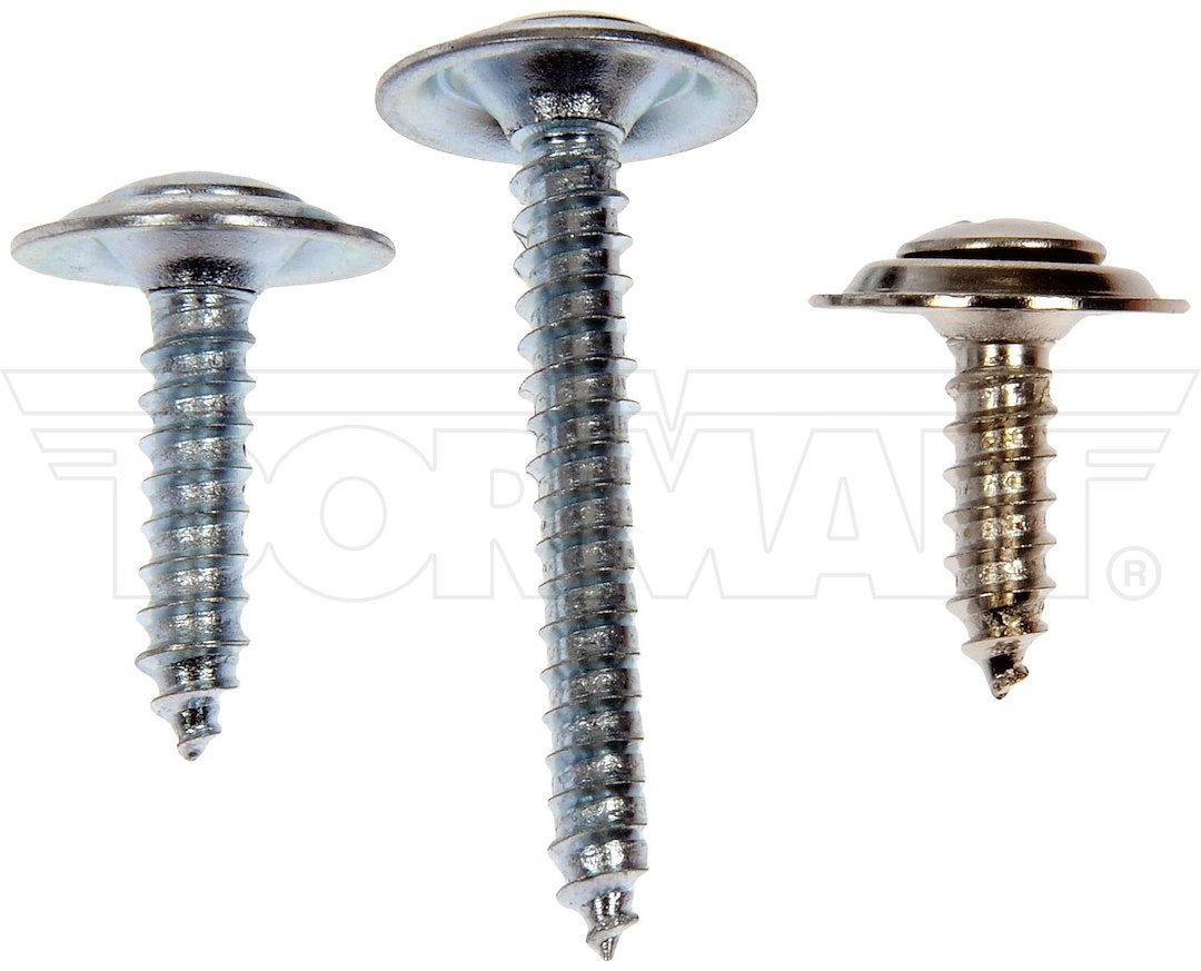 Dorman OE Solutions 961-225d Assorted Oval-Head Trim Fasteners - image 2