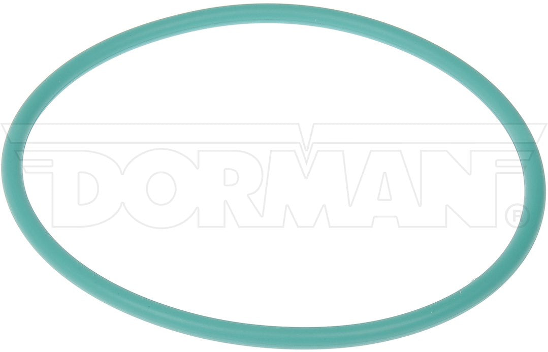 Dorman (OE Solutions) 911-245 Transfer Pump and Fuel Tank Seal - image 1